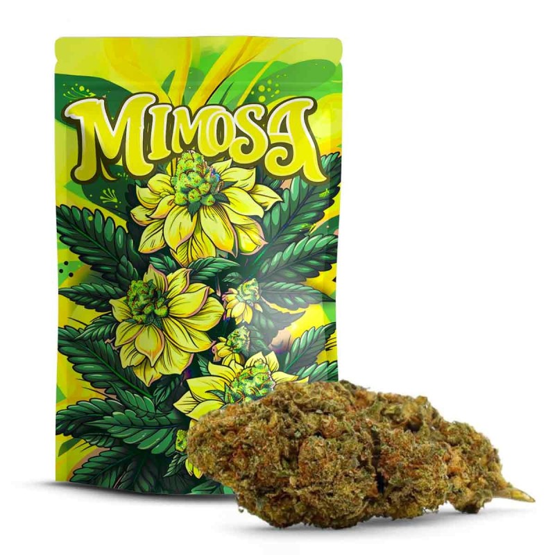 Mimosa 10-OH+ | Cannabinoide Relaxant Nueva Generación