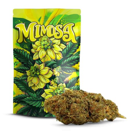 Mimosa 10-OH+ | Cannabinoide Relaxant Nueva Generación