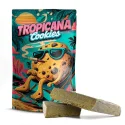 SIXTY8.ES TROPICANA COOKIES HASH 45% 10-OH+, Gramo: 24g
