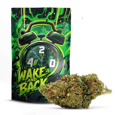 Wake And Bake 30% 10-OH+ | Flor Fresca y Energizante