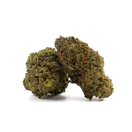 Pink Panty Dropper 50% DELTA 10 | Flor Premium | Sixty8