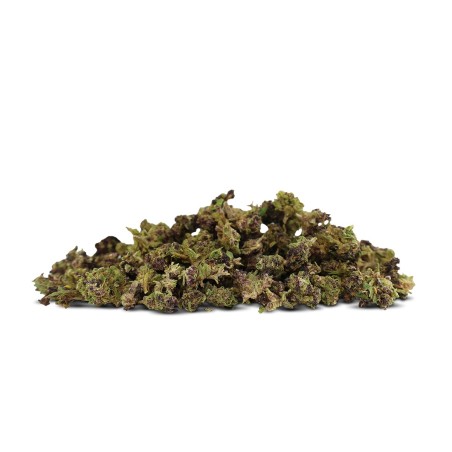 Purple Urkle small buds 50% DELTA 10 Flor | Sixty8