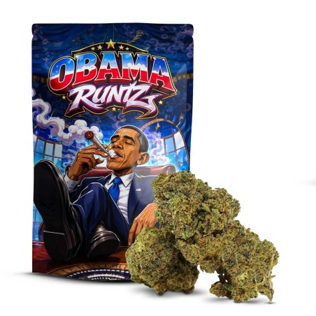 Obama Runtz DELTA 10 | Flor Premium con Sabores Afrutados | Sixty8