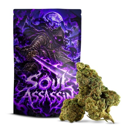 Soul Assassin Delta-10 50% – Flor Potente | Sixty8