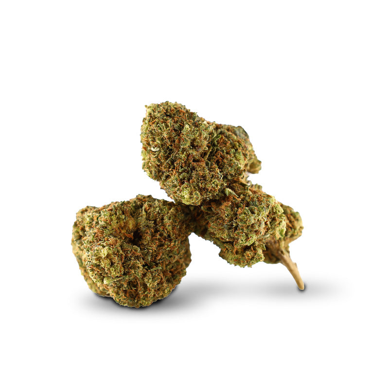 Black Russian 20% 10-OH HHC Flores (1g-100g)