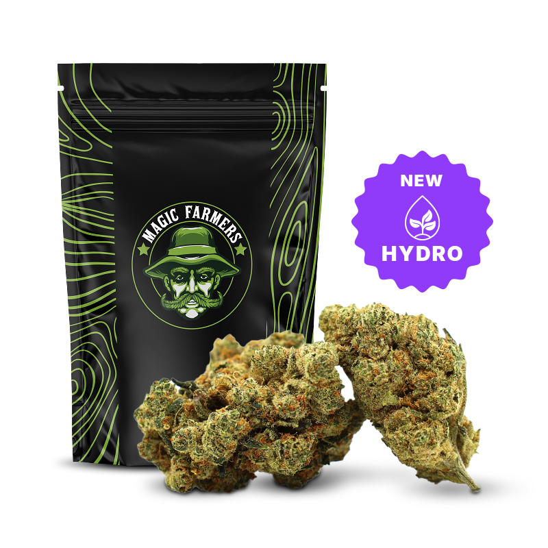 Champagne Haze 36% THCA Hydro Flores