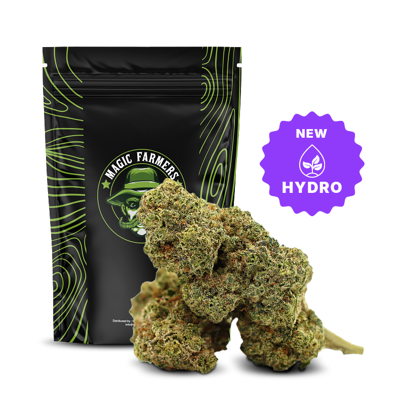 Gaz Candy 36% THCA Hydro Flores