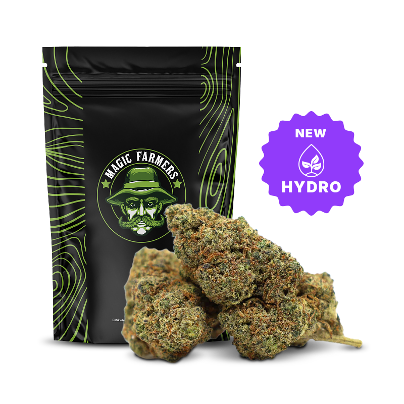 King Louis 37% THCA Hydro Flores