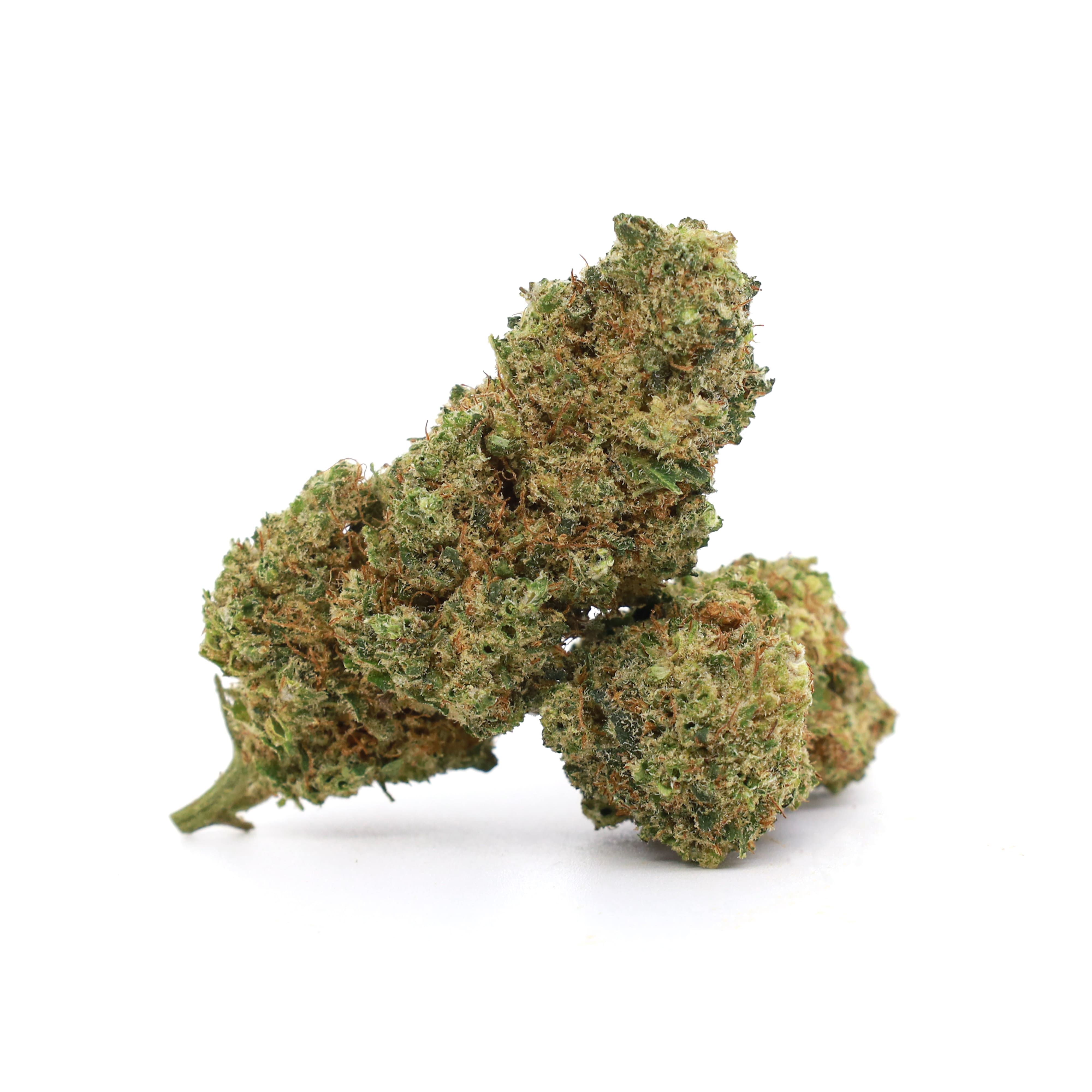 Hot Saigon 30% 10-OH Flores (1g-25g)