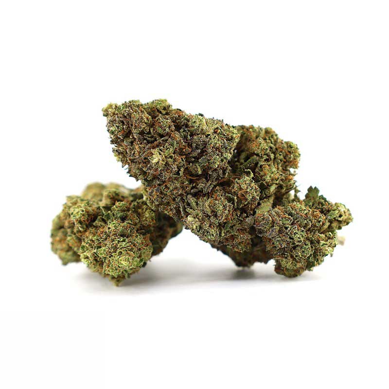 MILKSHAKE ZHEETOS THCA FLORES