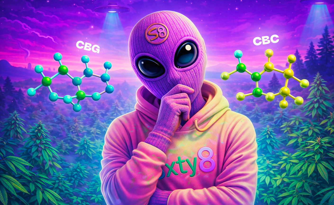 CBG frente a CBC: ¿qué diferencias hay?