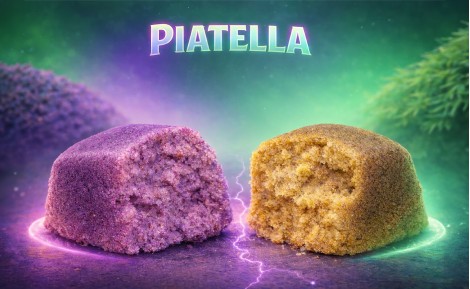 Resina Piatella: ¿qué es, cuáles son sus efectos, cómo se elabora y dónde se puede comprar?