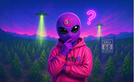 ¿Qué es la marihuana? Definición, sinónimos y todo lo que hay que saber
