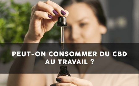 CBD y trabajo: ¿son compatibles?
