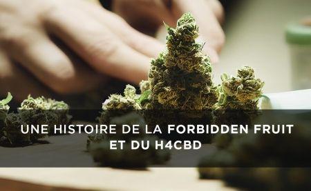 Forbiden Fruit H4CBD: La historia de esta variedad