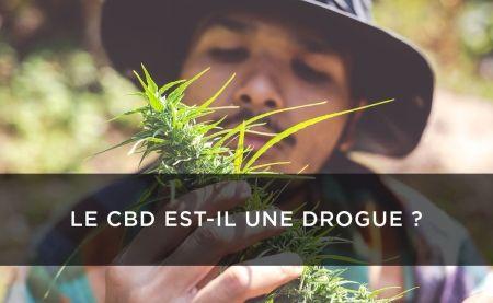 ¿Es el CBD (cannabidiol) una droga?