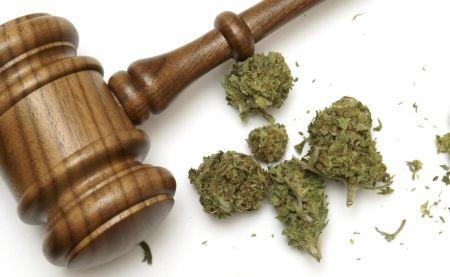 CBD legal: la decisión del Consejo de Estado en Francia