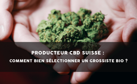 Productor de CBD en Suiza: ¿Cómo elegir bien a tu mayorista?