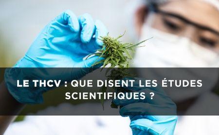 THCV: ¿Cuáles son sus efectos? ¿Es más potente que el CBD?