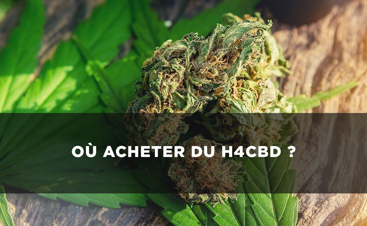 Compra de H4CBD: ¿dónde se puede comprar en Francia?