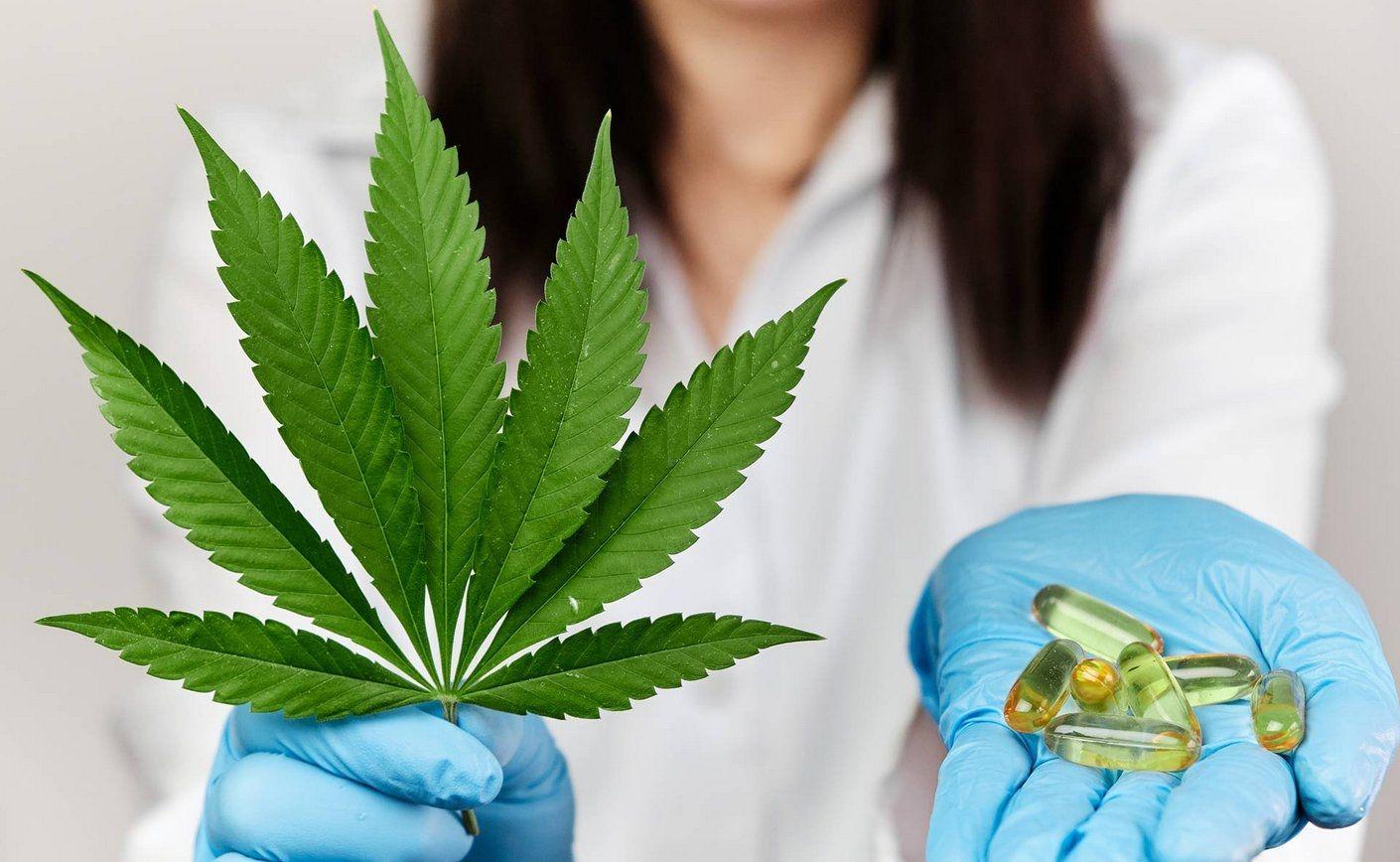 Los principales cannabinoides presentes en el CBD y sus efectos