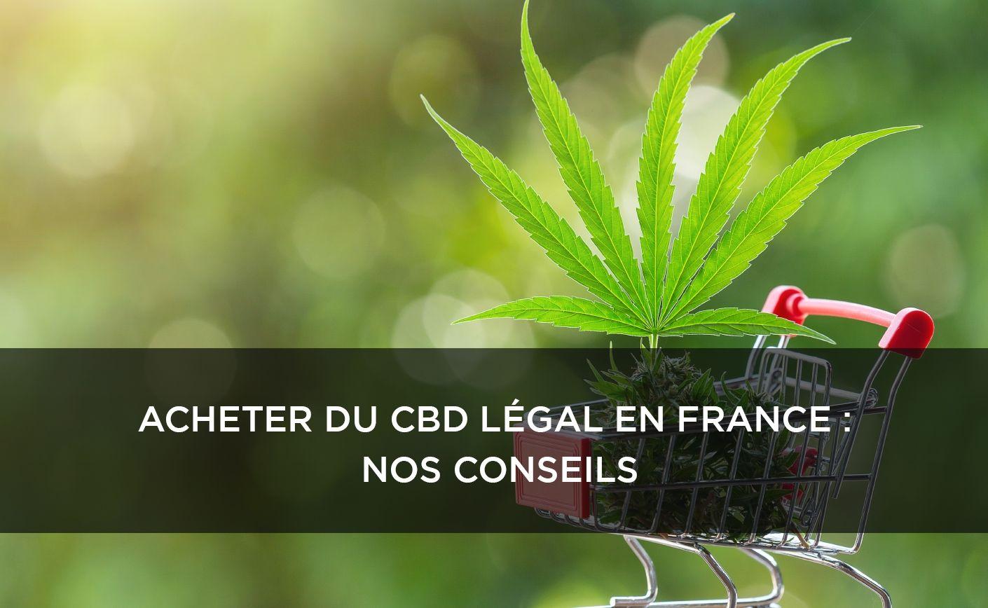 El CBD: un compuesto natural con múltiples facetas