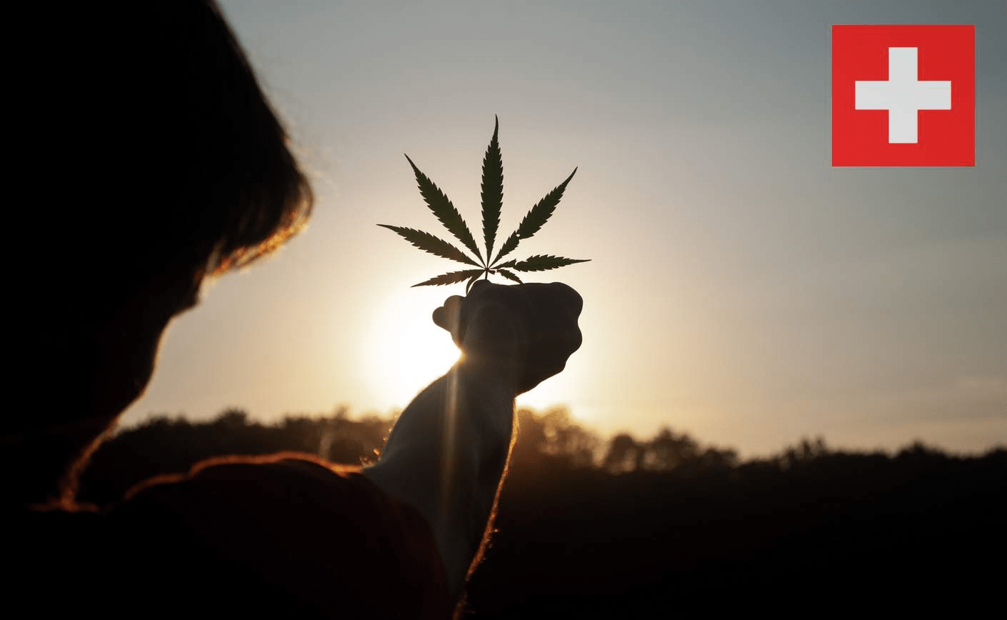 CBD suizo: ¿es realmente de tan buena calidad?