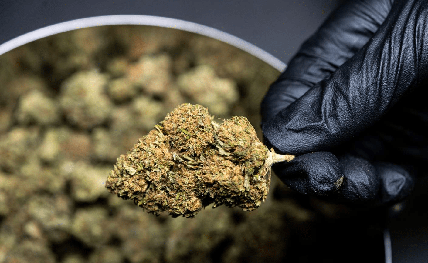 CBD barato: ¡encuentra productos suizos al mejor precio!