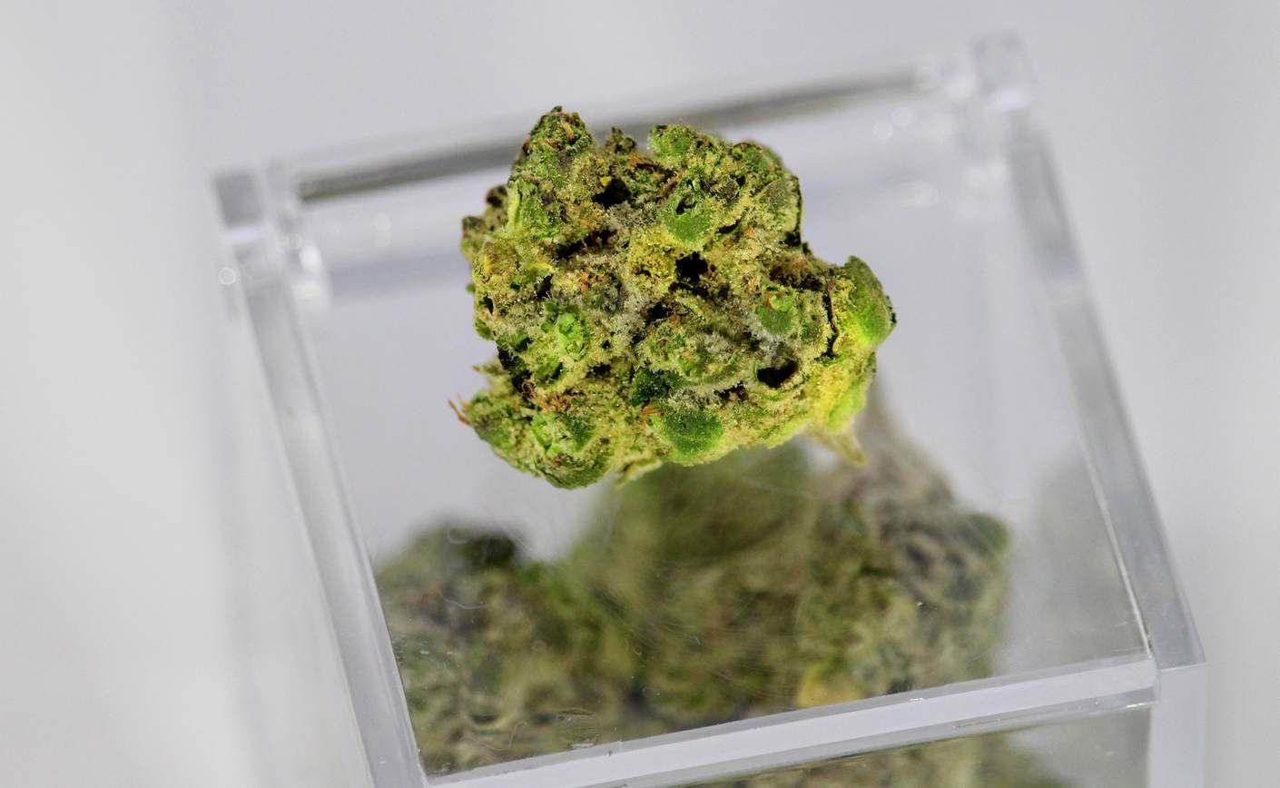 ¿Cómo consumir CBD de forma saludable? 