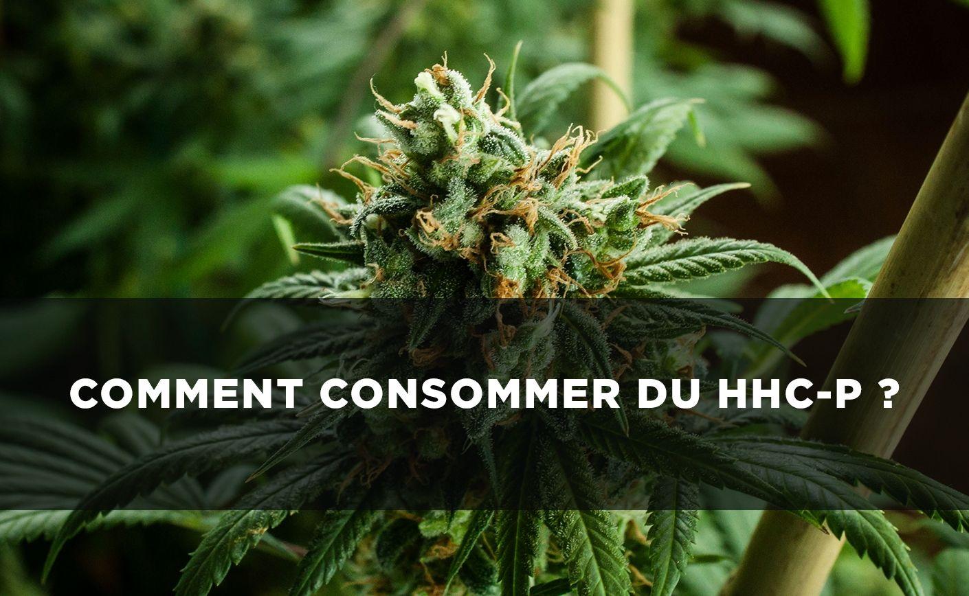 HHCP: Formas de consumirlo
