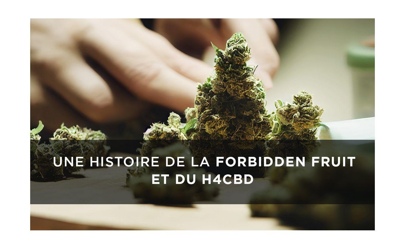 Forbiden Fruit H4CBD: La historia de esta variedad