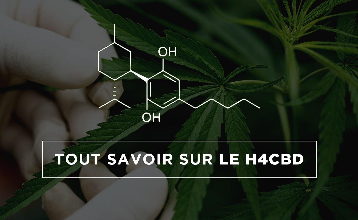 H4CBD/HHC: presentación de la nueva molécula de moda