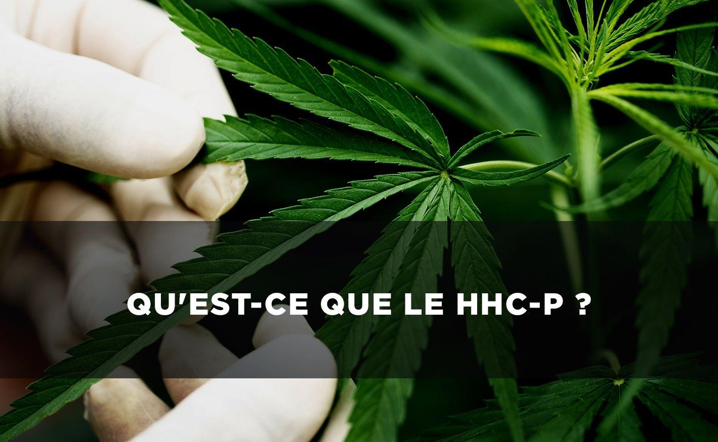HHC-P: ¿qué es este nuevo cannabinoide?