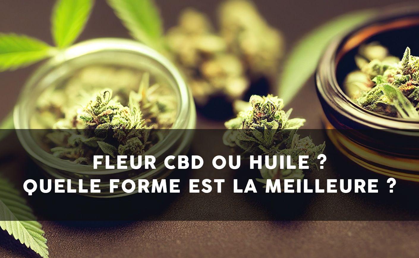 Flores de CBD o aceite de cannabidiol: ¿cómo elegir?