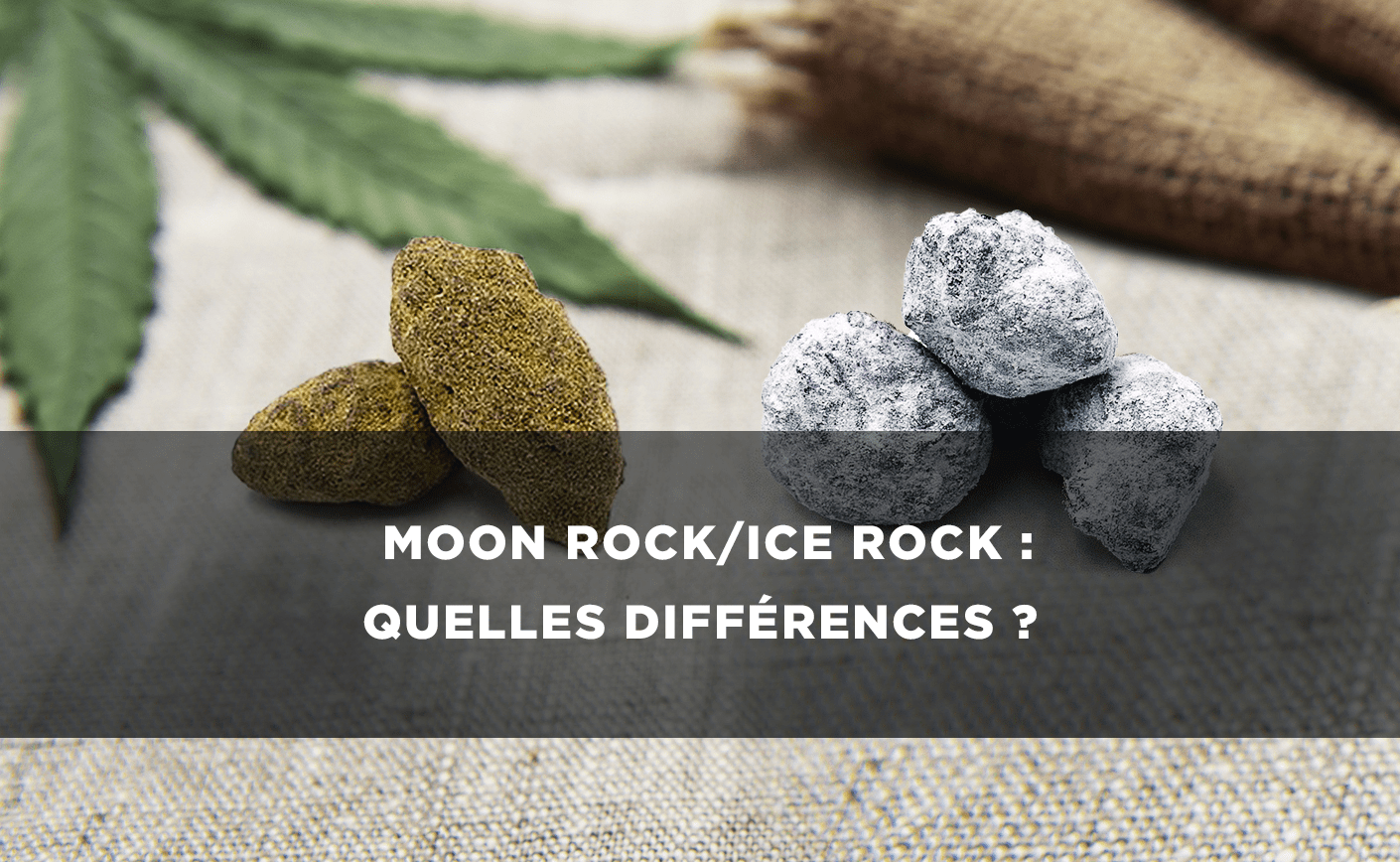 Moon rock y Ice Rock CBD: ¿qué diferencia hay?