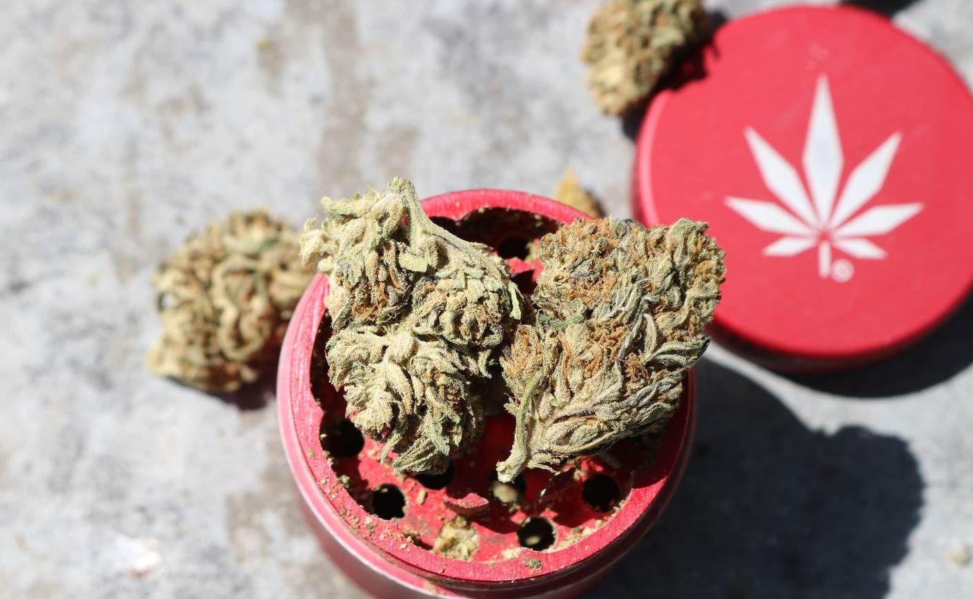 ¿Cómo se usa un molinillo de marihuana?
