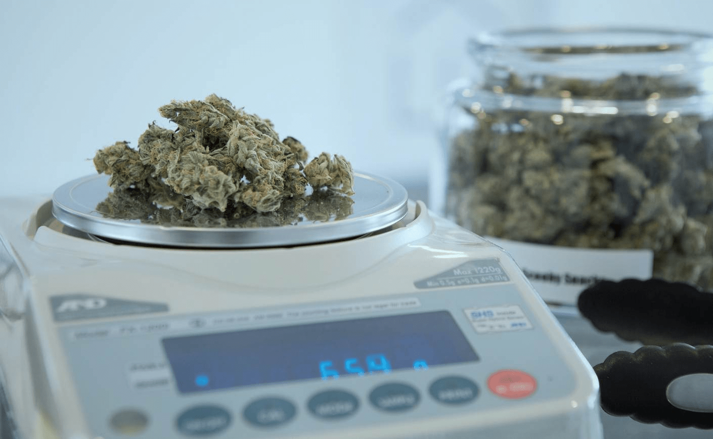 Un médico suizo te da consejos sobre la dosis de CBD
