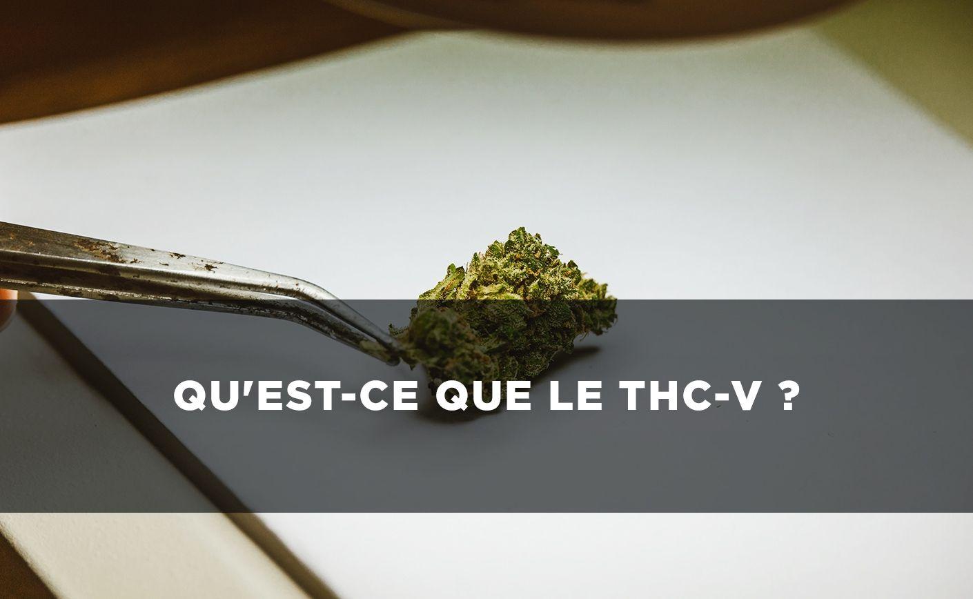 ¿Qué es el THCV?