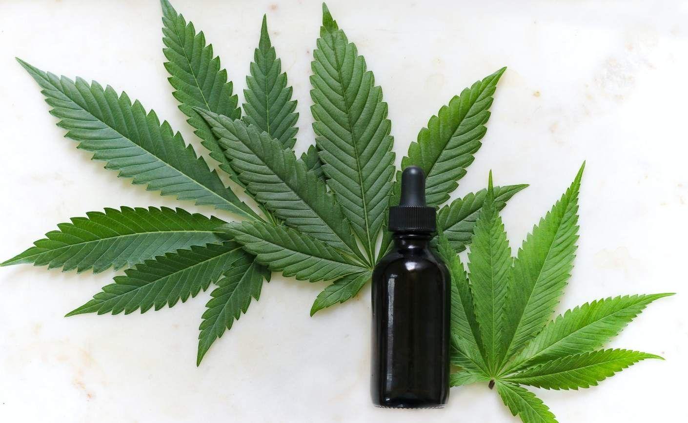 CBD y THC: características, efectos y legislación