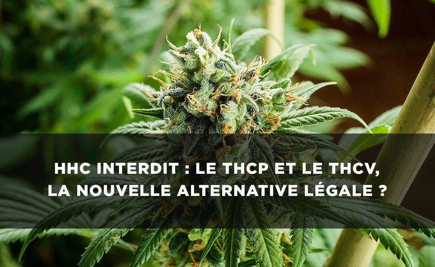 THCP, THCV, las alternativas legales al HHC