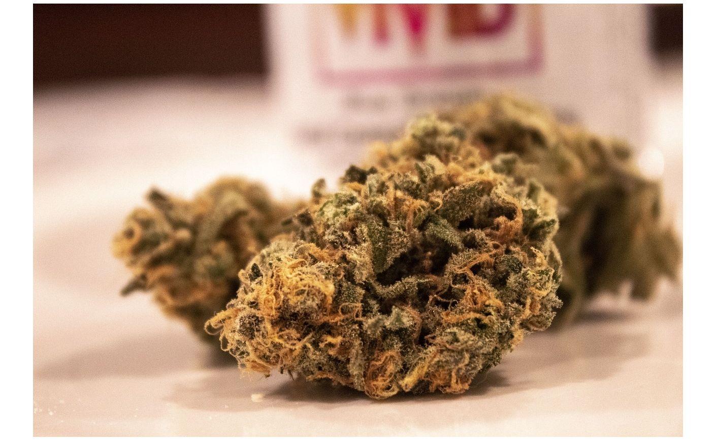 Cómo conservar tus flores de CBD: guía completa para preservar la calidad y la frescura